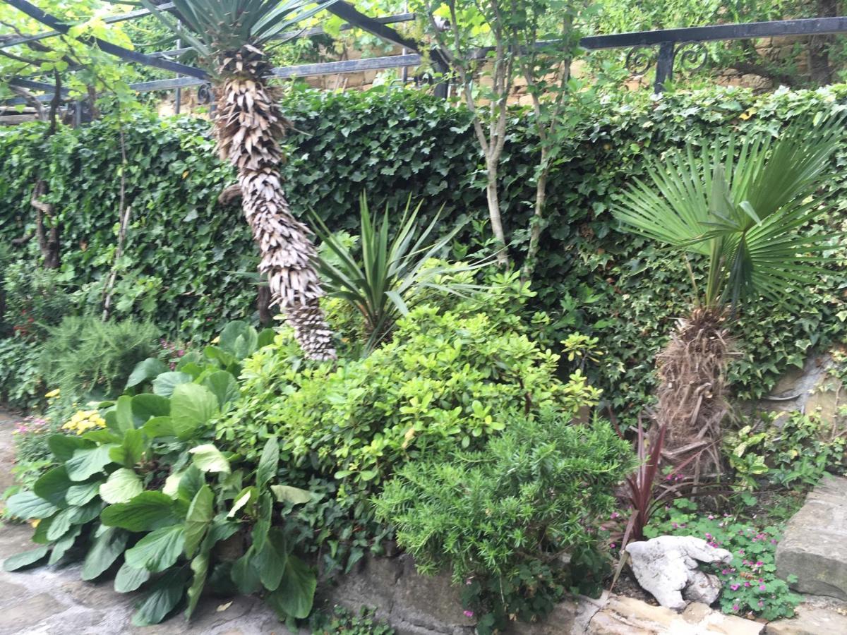 Green Oasis Family Apartments Piran Ngoại thất bức ảnh